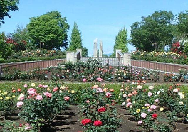 公園　都立秋留台公園（公園）まで1461m