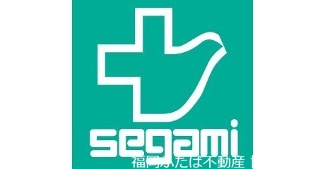 ドラックストア　ドラッグセガミ美野島店（ドラッグストア）まで290m