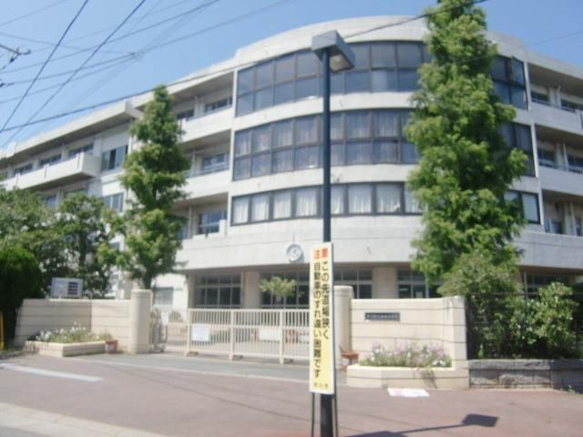 中学校　市川市立妙典中学校（中学校）まで1555m
