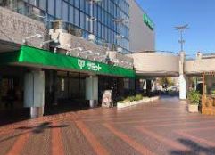 スーパー　サミットストアイースト21店（スーパー）まで375m