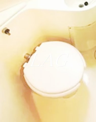 トイレ　トイレです。