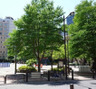 公園　西神田公園（公園）まで168m