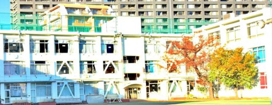 小学校　新宿区立柏木小学校（小学校）まで642m