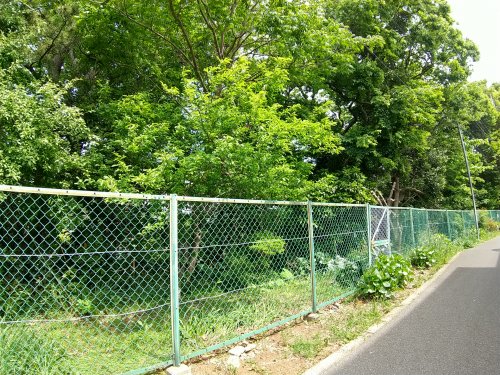 公園　田喜野井緑地（公園）まで662m