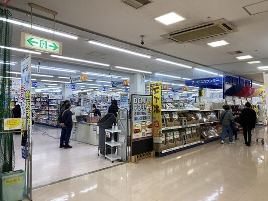 ホームセンター　DCM大開店（ホームセンター）まで437m