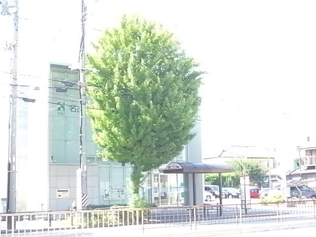 銀行　名古屋銀行（銀行）まで240m