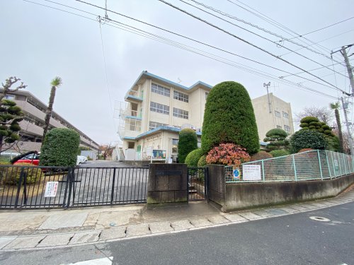 小学校　松戸市立松ケ丘小学校（小学校）まで642m