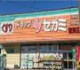 ドラックストア　セガミ 皆賀店（ドラッグストア）まで1300m