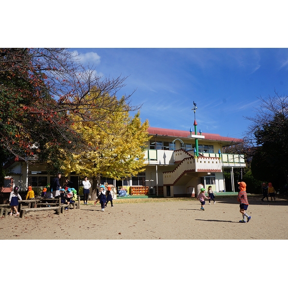 幼稚園・保育園　星和台幼稚園（幼稚園・保育園）まで165m