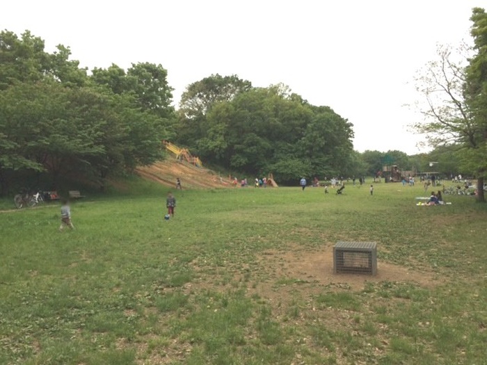 公園　菅生緑地（公園）まで455m