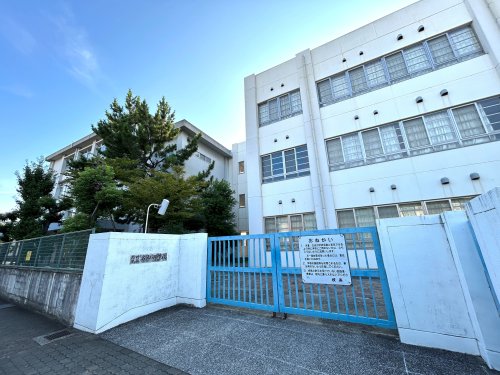 小学校　名和小学校（小学校）まで546m