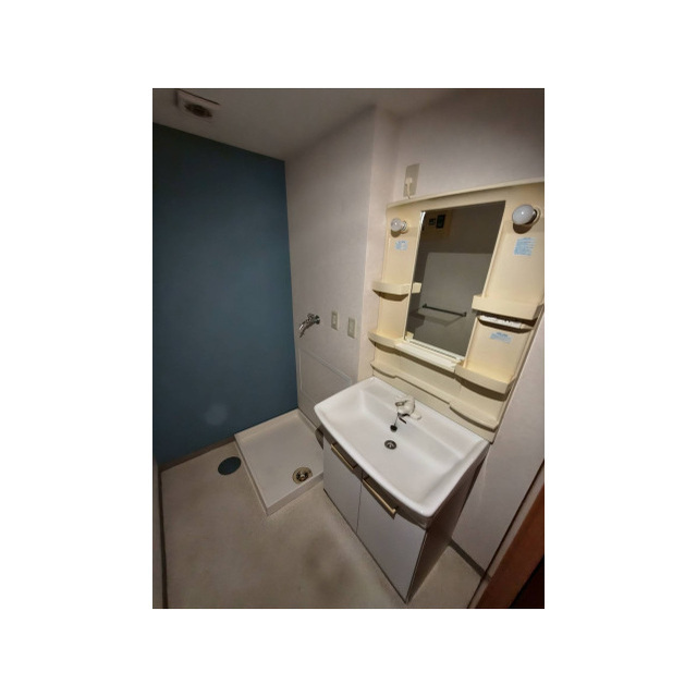 洗面設備　他部屋参考（６０１）