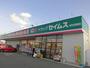 ドラックストア　ドラッグセイムス総社真壁店（ドラッグストア）まで1529m