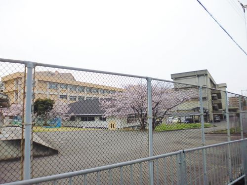 中学校　明石市立朝霧中学校（中学校）まで1394m