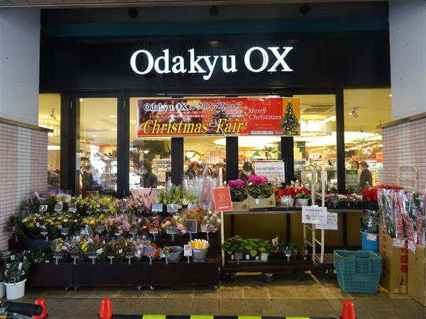 スーパー　OdakyuOX梅ヶ丘店（スーパー）まで212m