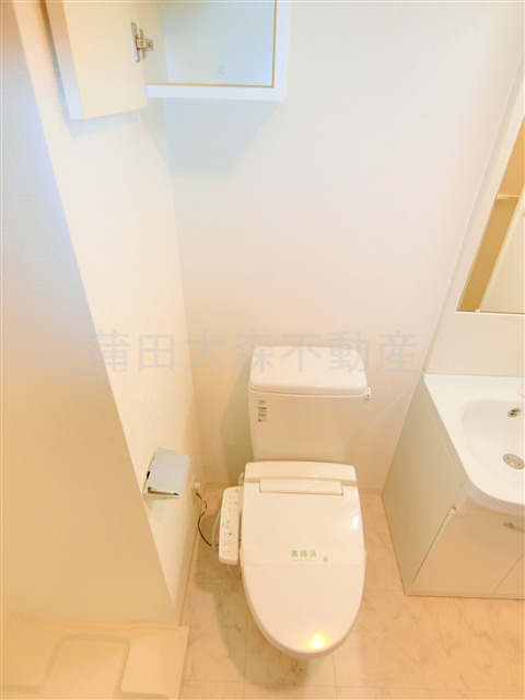 トイレ　棚収納と温水暖房便座付きトイレ