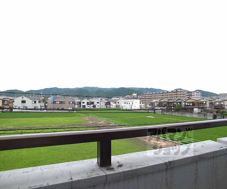 眺望　周辺はのどかな風景が広がります・