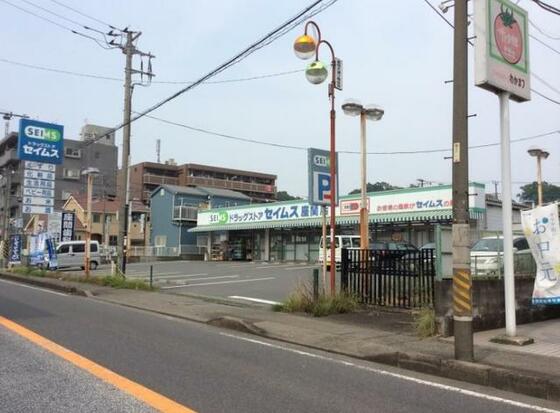 スーパー　ドラッグセイムス座間店（スーパー）まで254m