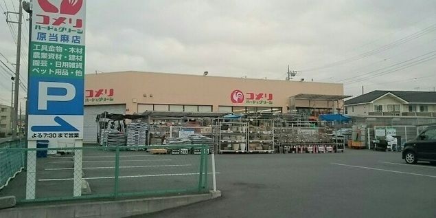 ホームセンター　コメリ（ホームセンター）まで550m