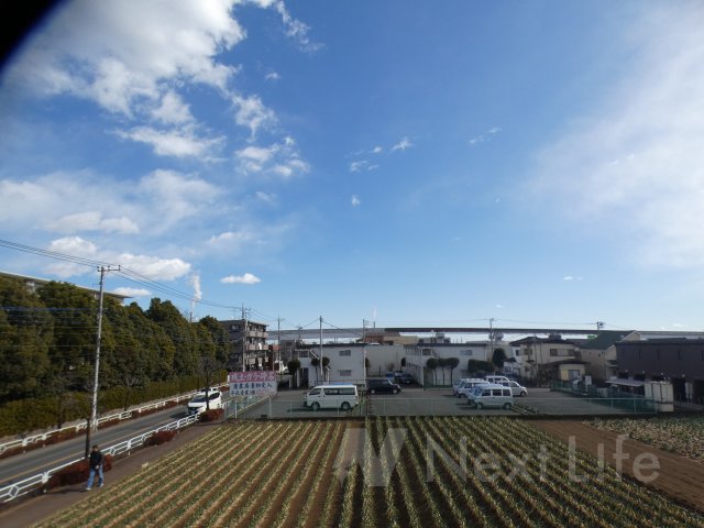 眺望