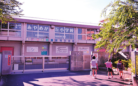 小学校　北九州市立あやめが丘小学校（小学校）まで812m