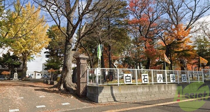 小学校　札幌市立白石小学校（小学校）まで905m