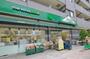 スーパー　マルエツプチ千石店（スーパー）まで540m