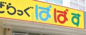 ドラックストア　どらっぐぱぱす巣鴨店（ドラッグストア）まで780m