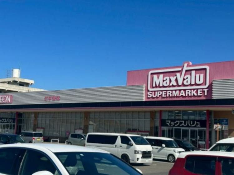 スーパー　マックスバリュ西の土居店（スーパー）まで380m