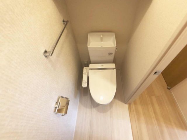 ドミール SHIMIZUのトイレ写真