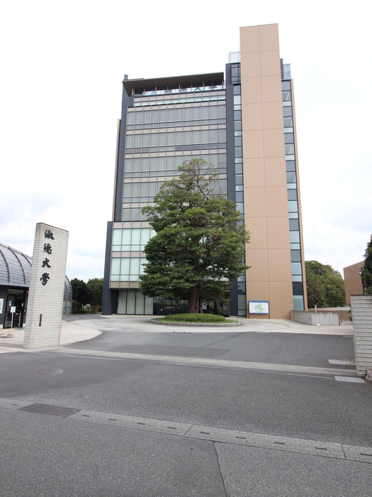 大学・短大　淑徳大学（大学・短大）まで295m