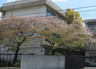 中学校　西宮市立浜甲子園中学校（中学校）まで1525m