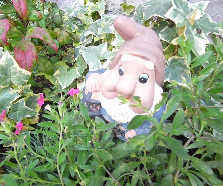 ブレーメンのその他写真