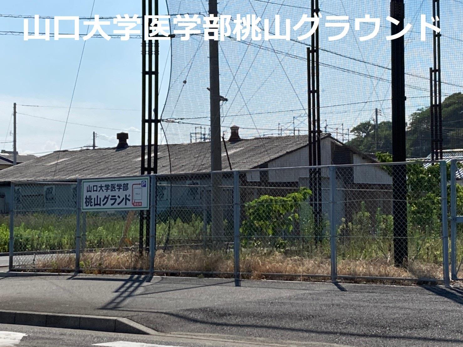ヴェルデパルコAの周辺写真