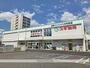 ドラックストア　スギ薬局 宝町店（ドラッグストア）まで600m