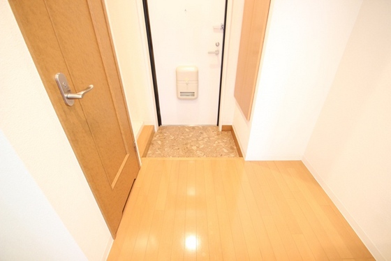 玄関　※他号室の写真です