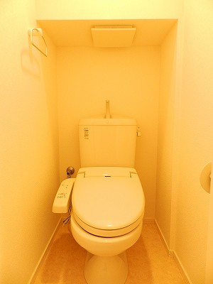 メゾン小林のトイレ写真