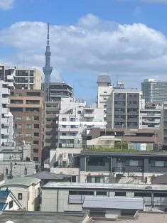 東京メトロ日比谷線 入谷駅 徒歩5分 8階建 築48年のその他写真