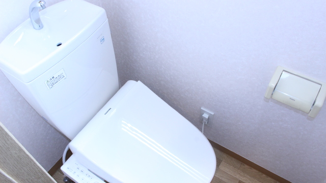 オークガーデン弐番館のトイレ写真