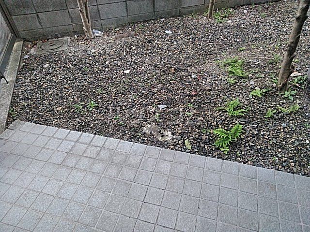 庭