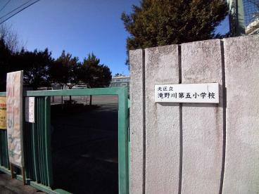 小学校　北区立滝野川第五小学校（小学校）まで170m