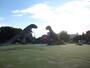 公園　大高緑地公園（公園）まで1662m