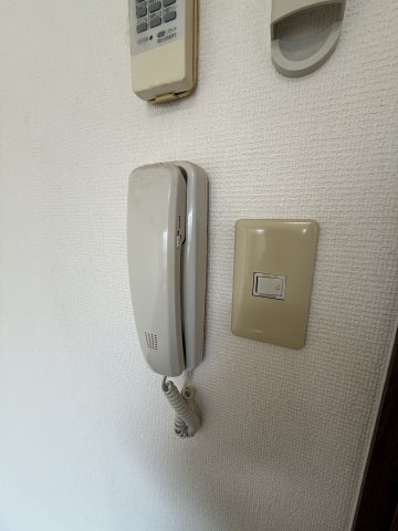 ボナールサジキのその他写真