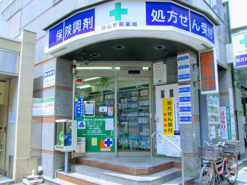 ドラックストア　白山駅前薬局（ドラッグストア）まで608m