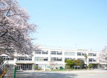 小学校　杉並区立八成小学校（小学校）まで616m