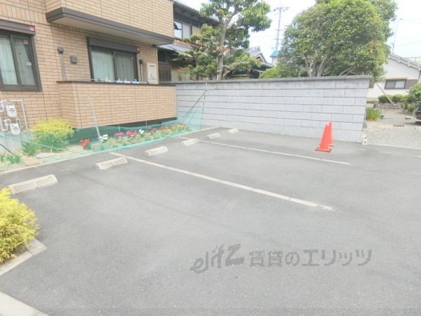 マルシエK.Kのその他写真