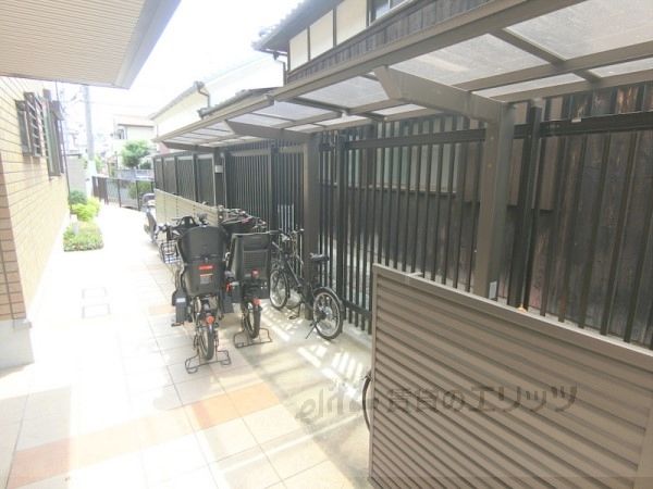 マルシエK.Kのその他写真