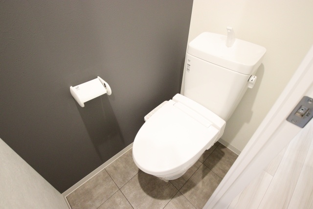 第2金山フクマルビルのトイレ写真