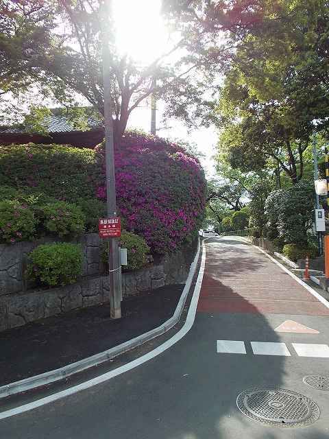 公園　城山公園（公園）まで200m