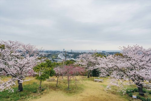 公園　衣笠山公園（公園）まで754m